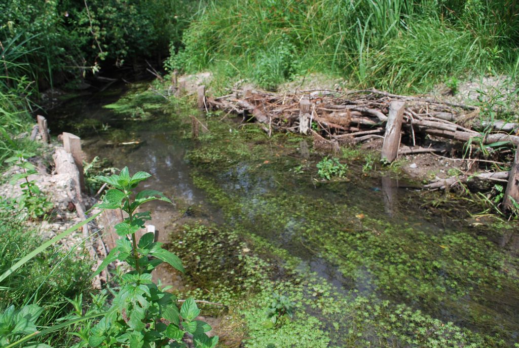 Travaux rivières