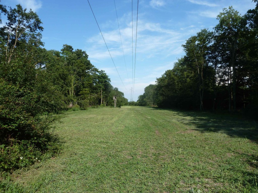 prairie écologique RTE