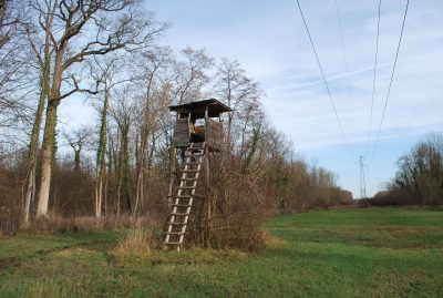 prairie écologique RTE