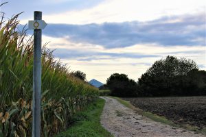 Circuits de promenade Muttersholtz