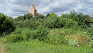 carré de biodiversité