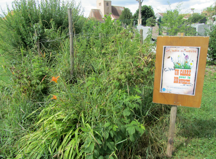 carré de biodiversité