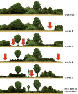 Plan de gestion des espaces naturels