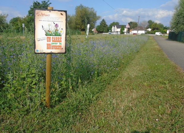 carré de biodiversité