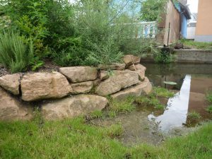 Le jardin Langert - Chemins de la Transition - Muttersholtz