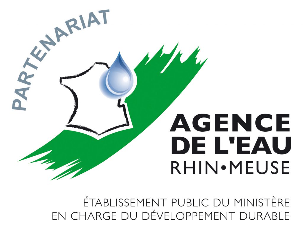 Logo AERM