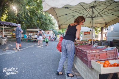 Marché des producteurs