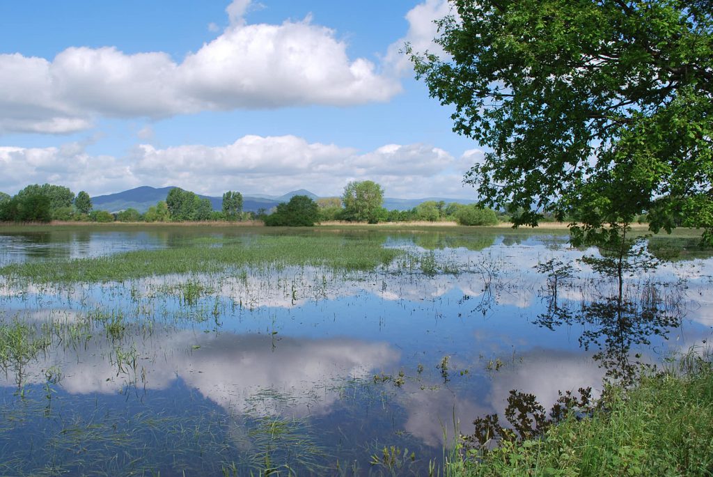 inondations muttersholtz