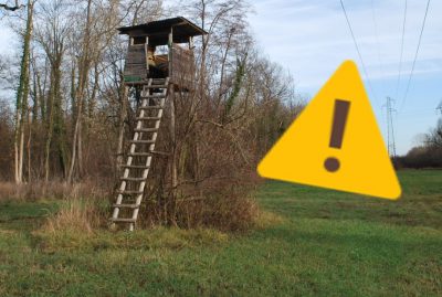 chasse attention