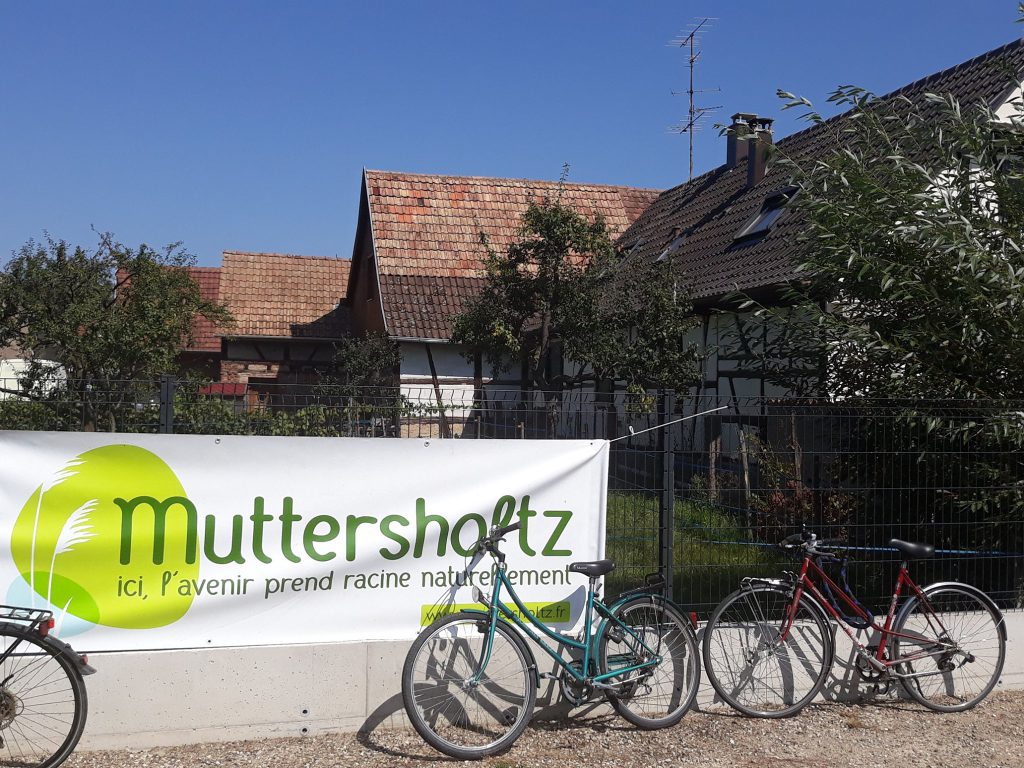 vélos à Muttersholtz