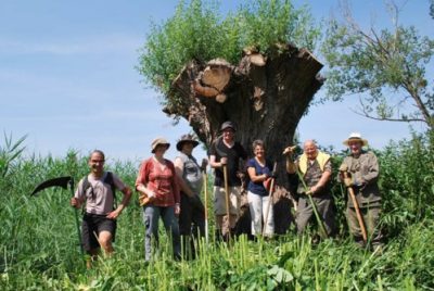 Chantier nature participatif