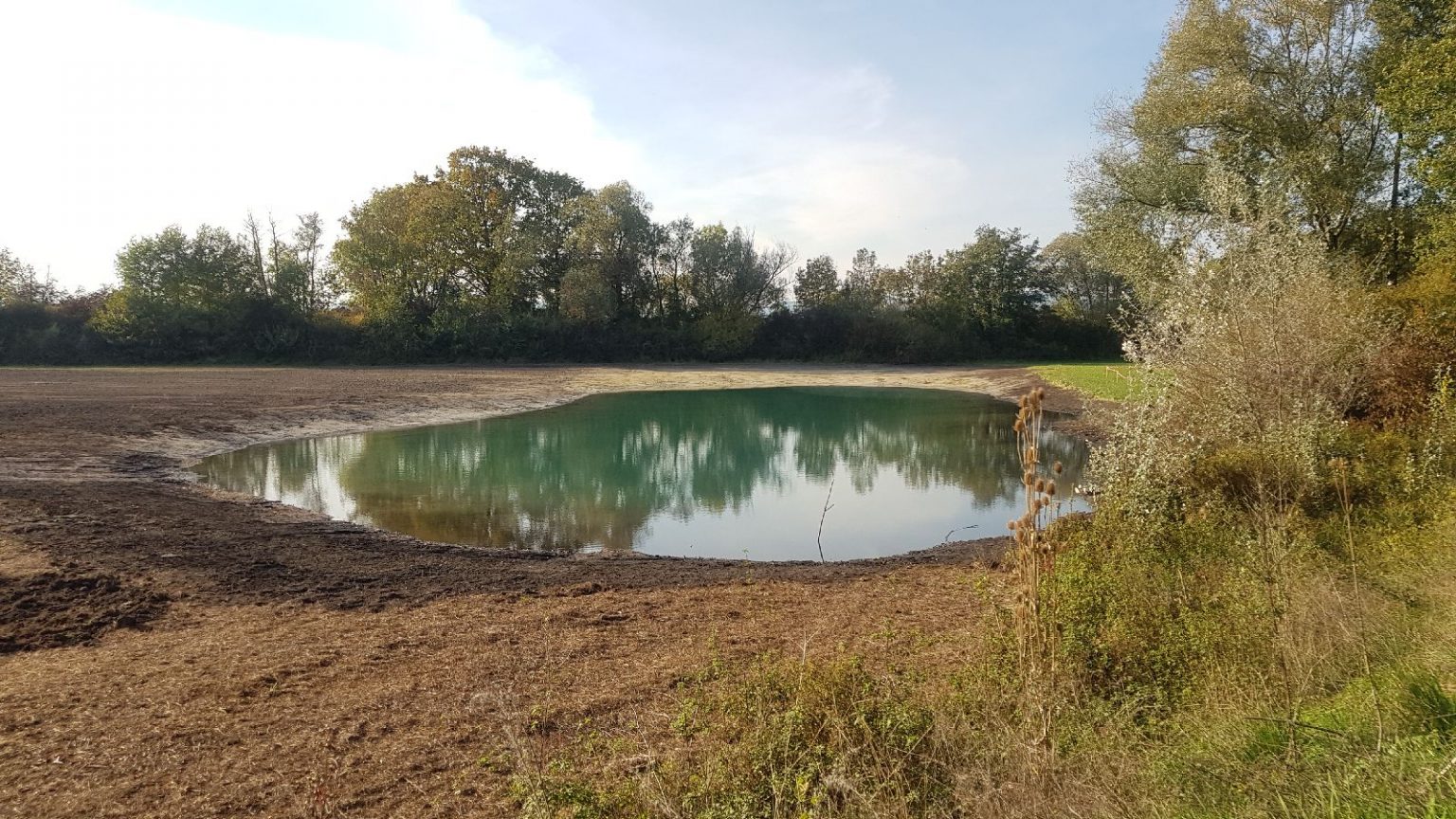 Bienvenue à Muttersholtz - Muttersholtz